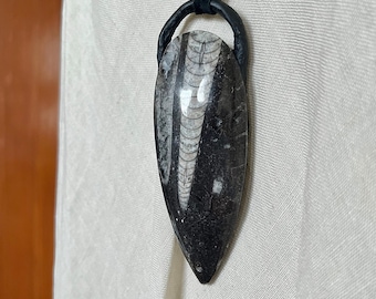 XL Polished Orthoceras Fossil Pendant - SIGIL {BLVCK}