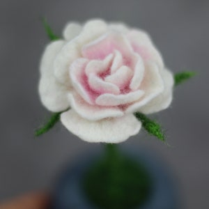 Puede incluir: Una rosa blanca de fieltro con un centro rosa, la rosa est&aacute; en un tallo verde y est&aacute; en una maceta peque&ntilde;a.