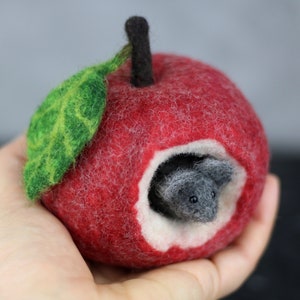 Apple house, felted apple and mouse