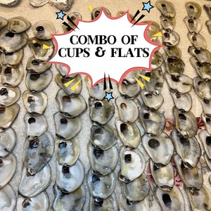 OYSTER SHELLS Flat/Cups in bulk Bleached, Oyster Shells for Crafts, Coastal Decor, Ring Dish, Decoupage, Shell Art, Beach Wedding