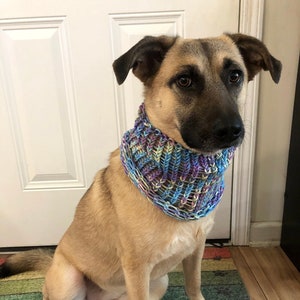 Dog Infinity Scarf, Hand-Knit Dog Scarf, Winter Dog Scarf, Pride Rainbow Dog Scarf, Multi-Colored Dog Scarf, Dog Lover Gift, Dog Accessory