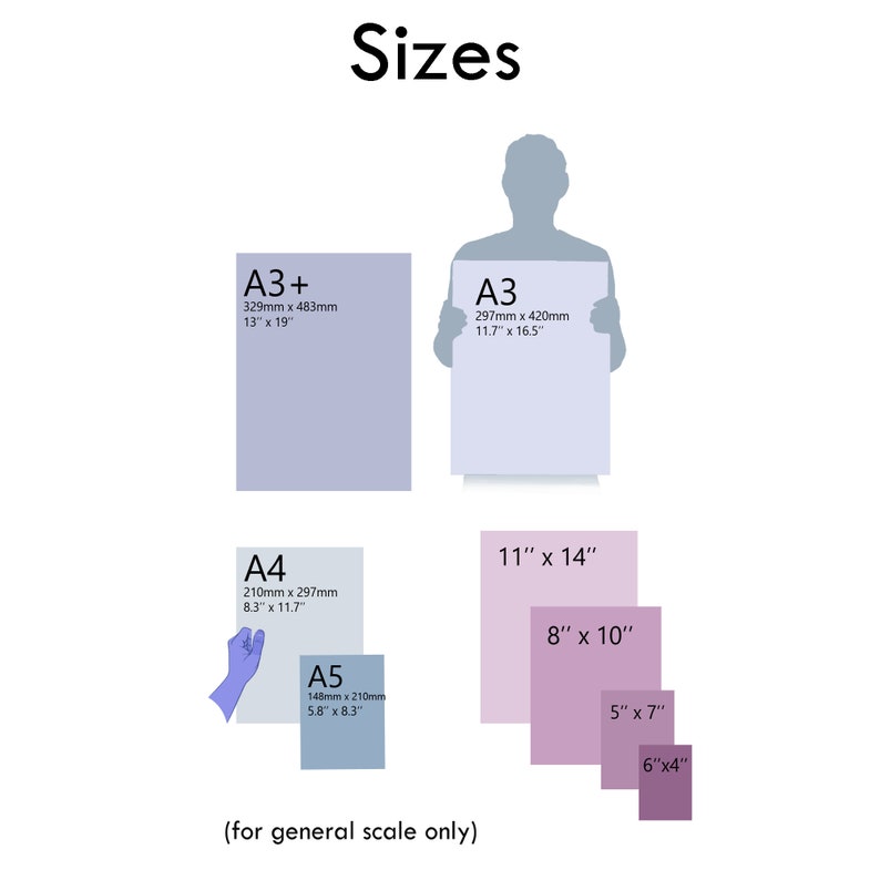 May include: A chart showing different paper sizes in inches and millimeters. The sizes are A3+, A3, A4, A5, 11" x 14", 8" x 10", 5" x 7", and 6" x 4".