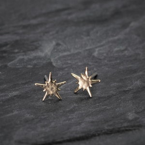 North star earrings, gold star post earrings spark earrings