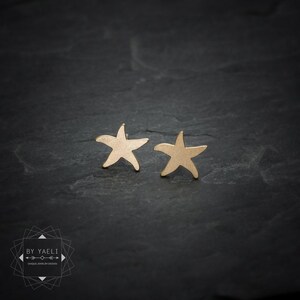 Star fish oorbellen zeester post oorbellen gouden zeester vis studs