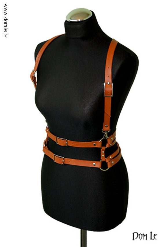 Harness  display picture 1