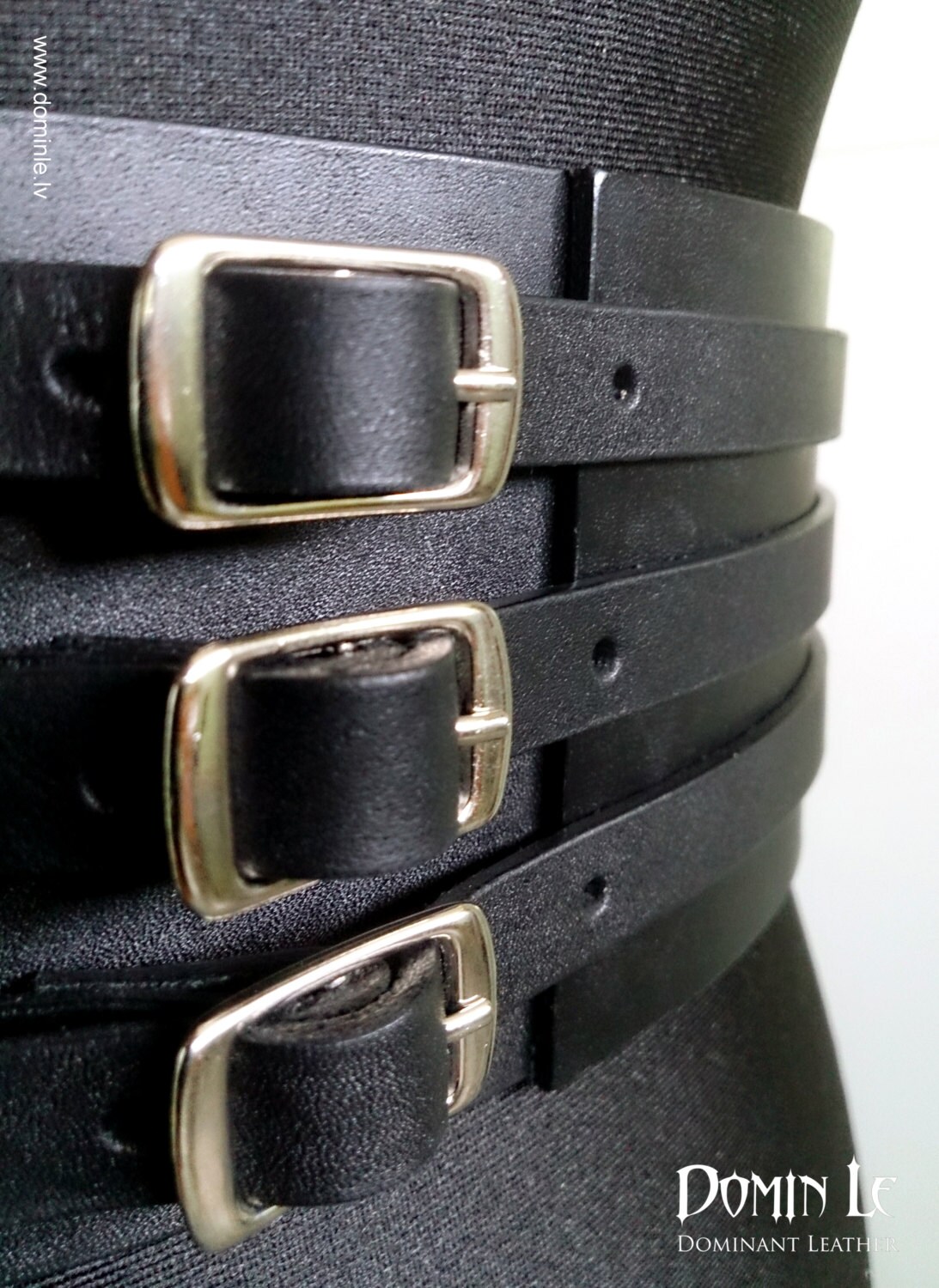 The Sellene Leather Statement Belt Waist Belt  main image 3
