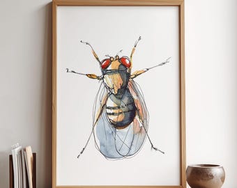 Drosophila Fruit Fly Wall Art - Science Wall Print, Gift for Biologist