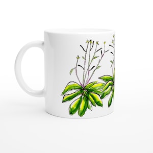 Arabidopsis Mug - Science Drinkware, Plant Biology Gift, Botanical Coffee Cup, Gift for Scientist