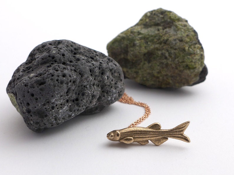 Zebrafish Pendant Science Jewelry image 1