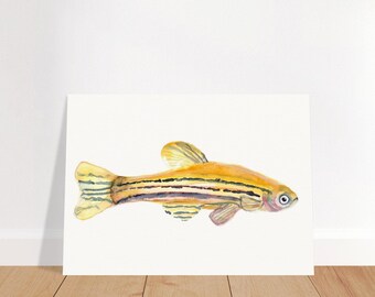 Zebrafish Watercolor Print | Science Art Print | Wall Decor for Scientists