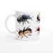 see more listings in the Science Mugs section