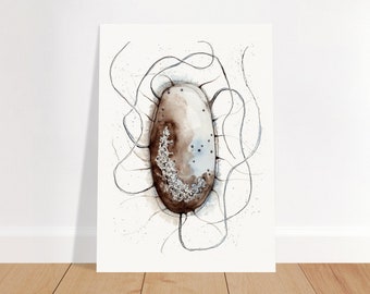 E. coli Bacterium Art Print | Science Wall Decor