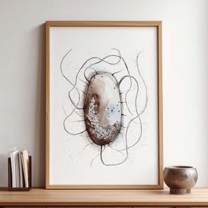 Può includere: Stampa ad acquerello incorniciata di una cellula stilizzata. La cellula ovale, con toni marroni e blu, presenta linee e punti sottili. Linee ondulate emanano dalla cellula, creando un tema artistico e scientifico. Cornice in legno chiaro.
