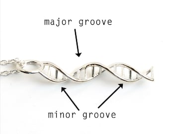 DNA Necklace - Biology Jewelry