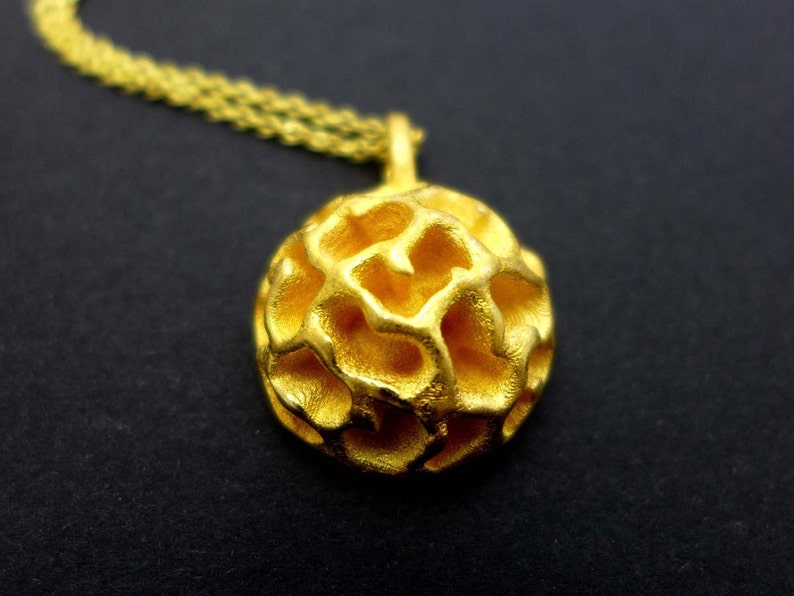 Acritarch Cymatiosphaera Fossil Pendant