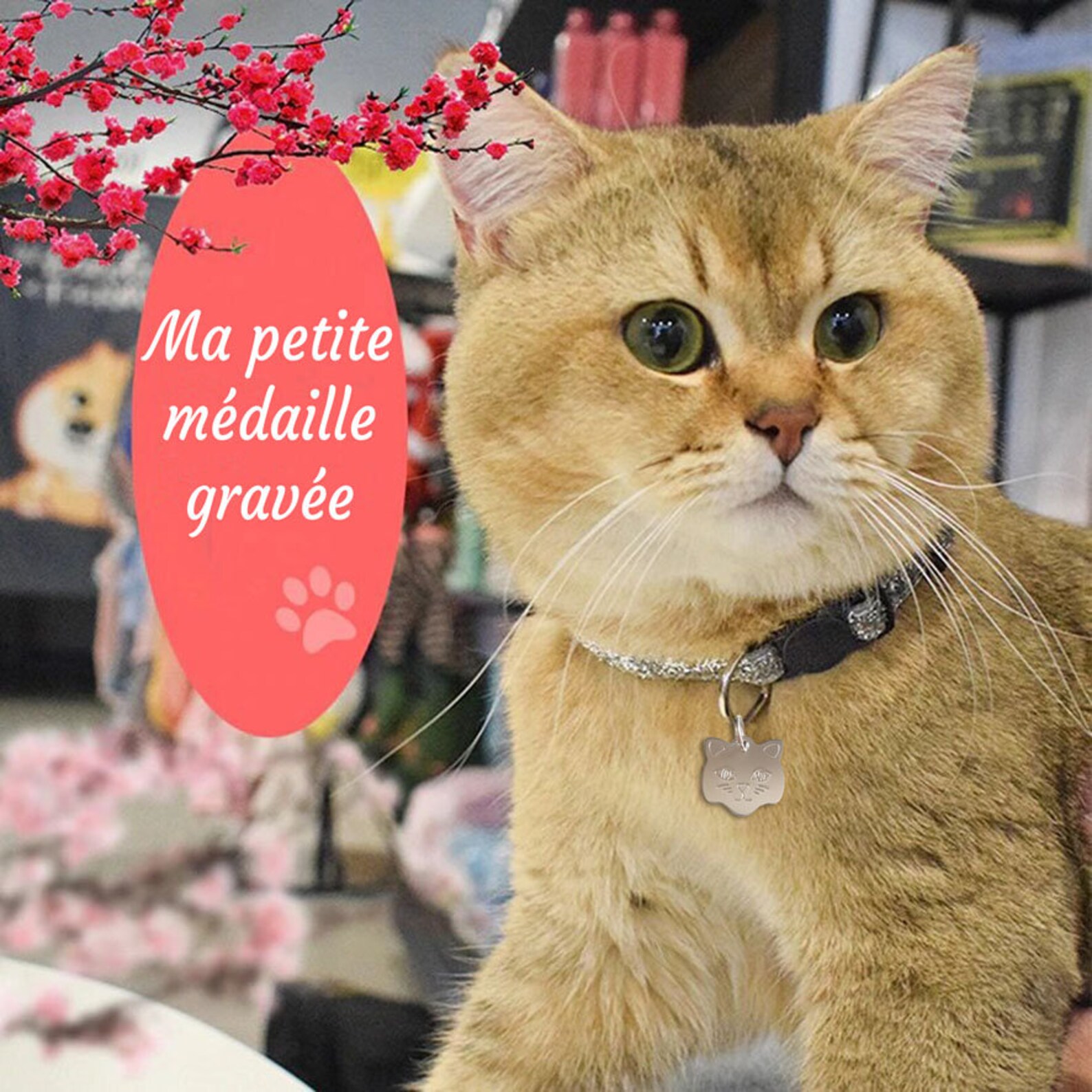 Personalized and Engraved Cat Medal Etsy UK