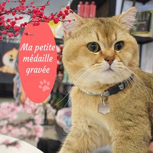 Medaille pour chat personnalisée et gravée image 4