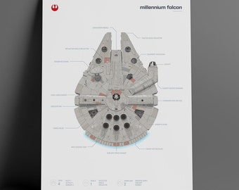 Jahrtausendwende Falke Illustration Infografik