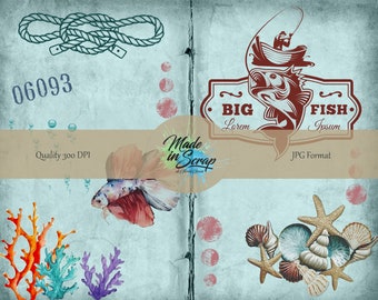 Sea World  Digital Journal