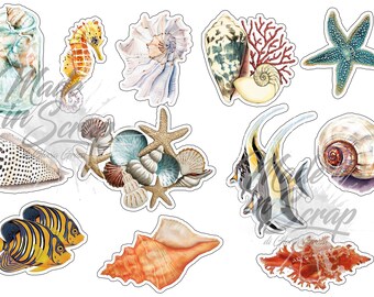 Sea World  Digital  Journal ADD ON