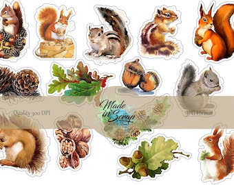 Squirrel Digital Journal ADD ON