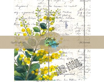 Mimosa Digital  Journal ADD ON