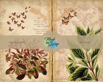 Plants Digital Journal