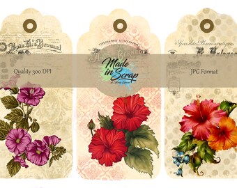 Hibiscus   Journal ADD ON