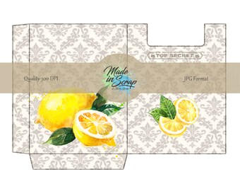 Lemons  Journal ADD ON