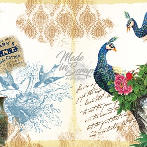Peacock Digital Journal 1
