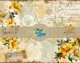 Hibiscus Digital  Journal