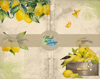 Lemons Digital Journal