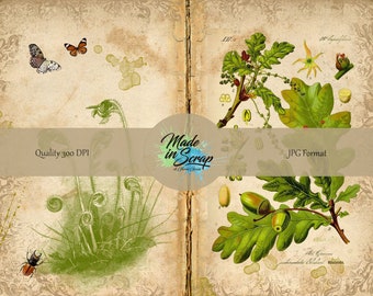 Plants Digital Journal