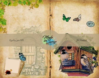 Bird's Nest Digital Journal