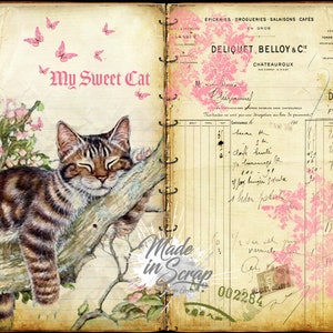 Mon journal Sweet Kittens