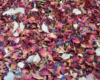 Mixed Petal Confetti,  Red Petals with hints of ivory, blue, pink & Lavender,  Biodegradable Petals for Weddings,  Bulk Confetti
