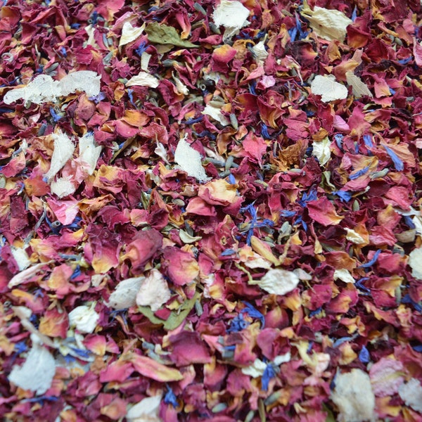 Mixed Petal Confetti,  Red Petals with hints of ivory, blue, pink & Lavender,  Biodegradable Petals for Weddings,  Bulk Confetti