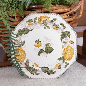 Wedgewood Etruria Horticultural Octagon Plate: Collectible Home Decor