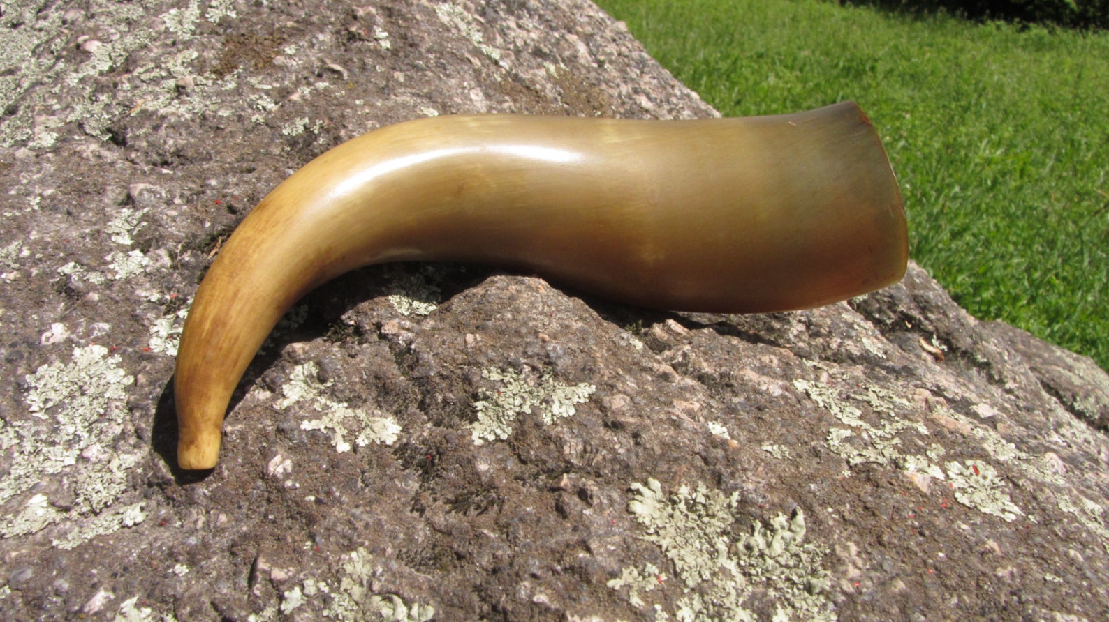 Curved Vintage drinking horn traditional wine Etsy