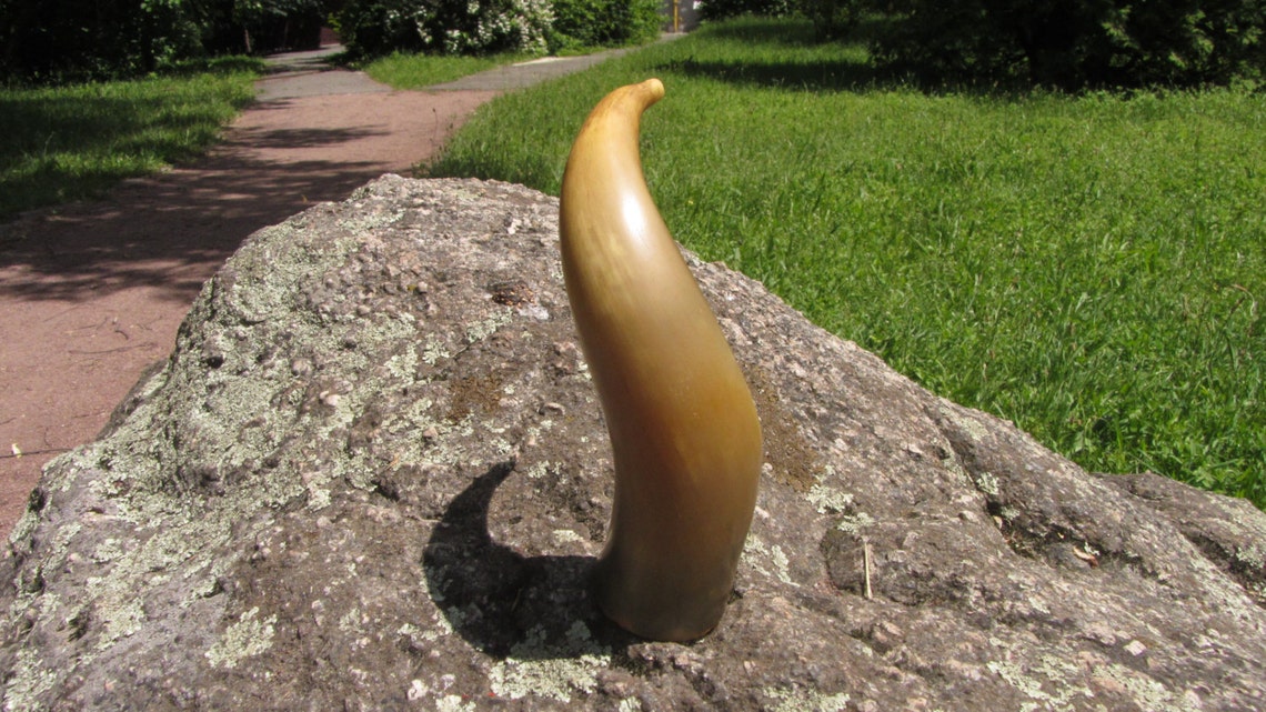 Curved Vintage drinking horn traditional wine Etsy