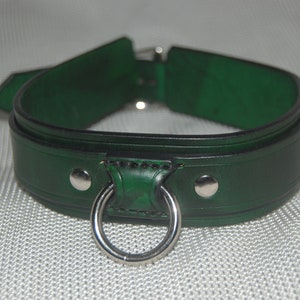 Pode incluir: Uma coleira de couro verde com um anel e rebites de metal prateado. A coleira &eacute; de cor verde floresta escura e tem formato arredondado. O anel de metal &eacute; preso na frente da coleira.
