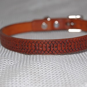May include: A brown leather dog collar with a snake skin embossed pattern and a silver buckle.