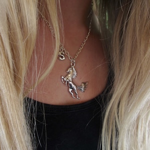 Silver horse necklace, horse necklace, silver horse charm, horse jewelry, equestrian gift, veterinarian gift, horse lover gift, animal lover