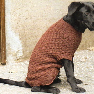Op de afbeelding: Een zwarte hond draagt een bruine gebreide trui. De trui heeft een textuurpatroon en een geribbelde kraag. De hond zit, met zijn staart uitgestrekt. De achtergrond is een neutraal getinte muur en een houten deur.