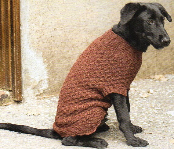 Dog Sweater Coat Knitting Pattern Knit Dog Sweater Coat Knitting Pattern Full Coverage Small Med Large Xl Pdf Instant Download Dog Sweater Coat Knitting Pattern Knit Dog Sweater Coat Knitting Pattern Full Coverage Small Med Large Xl Pdf Instant Download