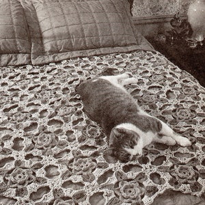 May include: A sepia-toned image of a bed with a crocheted floral pattern blanket. A gray and white cat is lying on the blanket. The pillows are a solid color, and the blanket has a repeating rose design. The bed is in a bedroom.