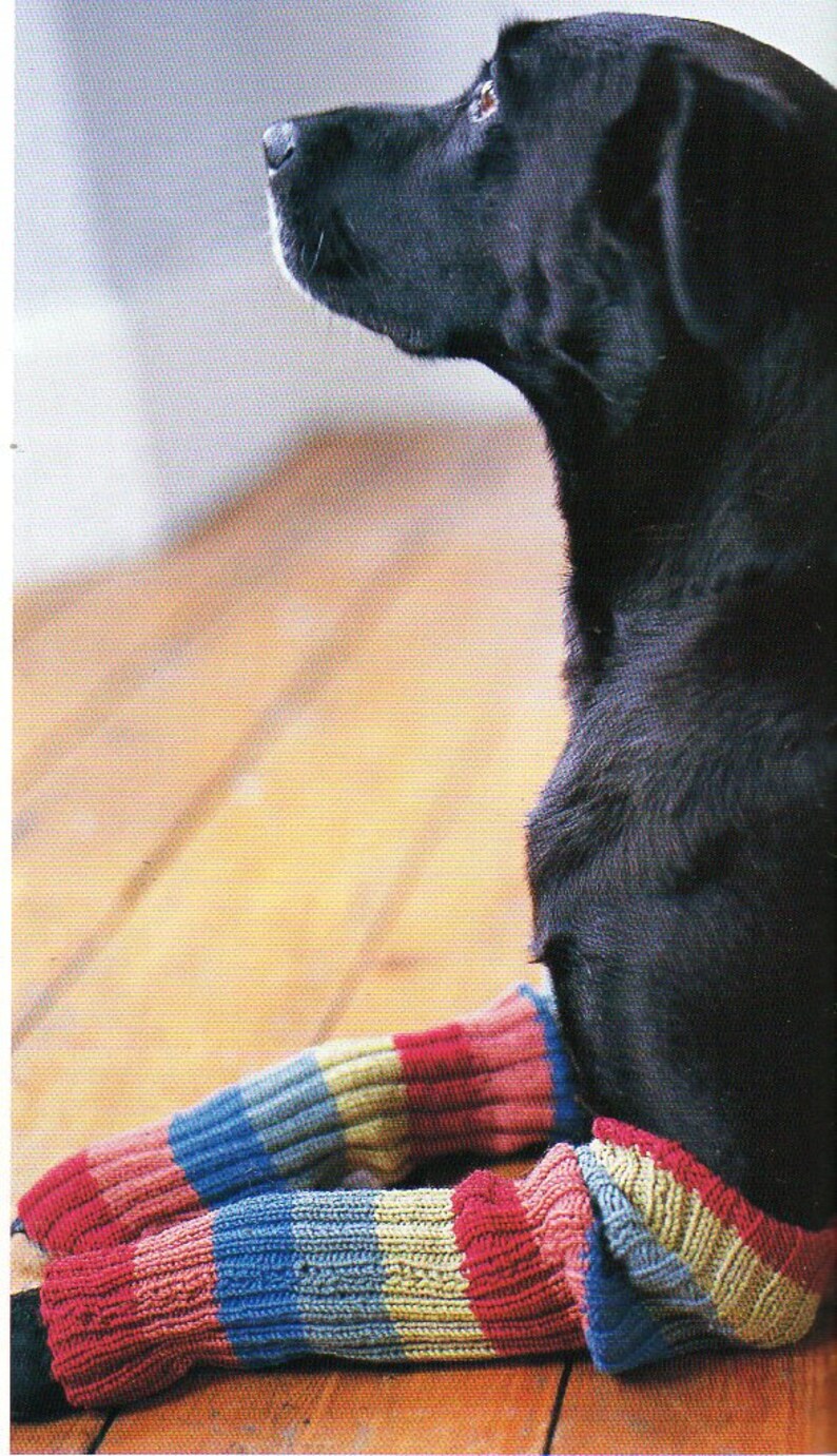 Dog Sweater Coat Leg Warmers Knitting Pattern Dog Sweater Etsy
