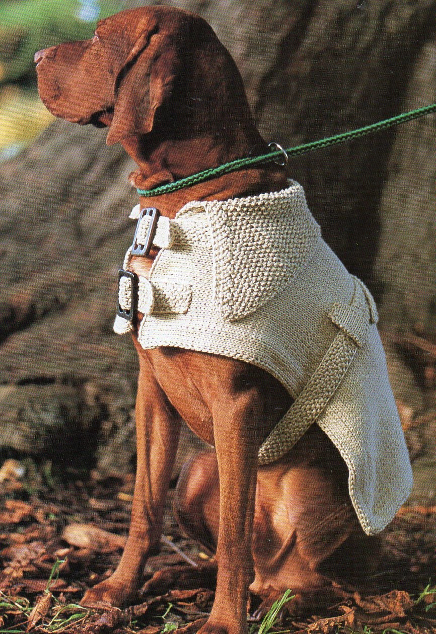 dog coat with buckles