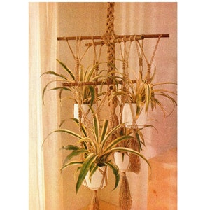 May include: A macrame plant hanger with four white ceramic pots holding green and yellow plants. The hanger is made of natural rope and has a wooden dowel at the top.