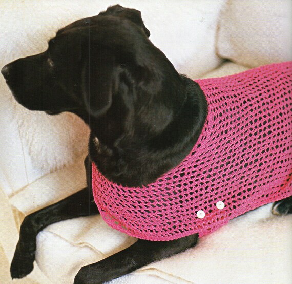 Dog Sweater Coat Knitting Pattern Full Coverage XXs Xs Small Med Large XL XXL PDF Instant Download